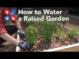 Water A Raised Garden Bed