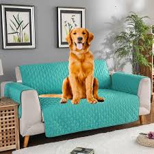 couch covers for dogs best sofa