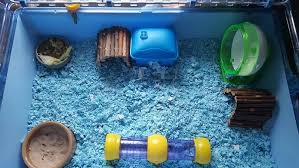 when should i clean my hamsters cage