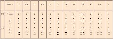 Amazing Recorder Baroque Recorder Fingerings Chart