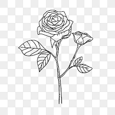 rose black and white clipart images for