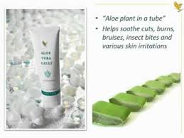 Use around hairline when perming or colouring hair. 36 Aloe Vera Gelly Ideas Aloe Vera Gelly Aloe Vera Aloe