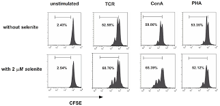 Cd3 T Cell Proliferation Monitored Using Cfse Labeling