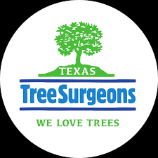 At texas tree surgeons, we are happy to employ isa certified arborists or, simply, certified arborists. all of our arborists are either certified by the isa or are in training to become certified. What Is A Certified Arborist Texas Tree Surgeons
