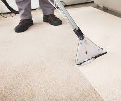 home carpet cleaner in sandyford