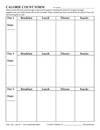food calorie chart forms and templates