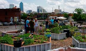 Urban Agriculture Projects Food Tank