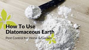 how to use diatomaceous earth home