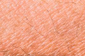 remove fibergl from skin