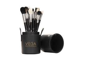 vega professional s makeup brush set