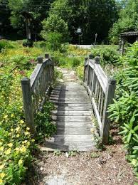 small wooden bridge in garden picture