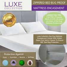 Lucid zippered mattress encasement bed bug and waterproof protector 8.0 7.5 8.1 8: Bed Bug Mattress Encasements Zippered Waterproof Mattress Protector