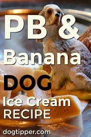 banana dog ice cream recipe