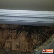 black mold pictures causes and signs