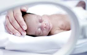 Micro Preemie Survival Rates And Health Concerns