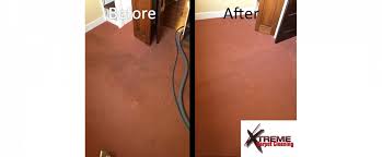 gallery xtreme carpet cleaning