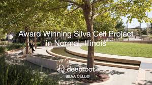 The New Normal A Silva Cell Case Study