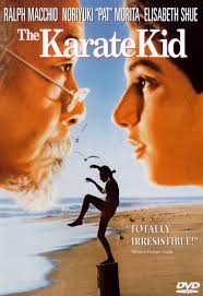 the karate kid dvd 1984 best