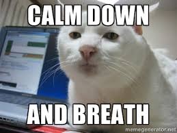 calm down and breath - Serious Cat | Meme Generator via Relatably.com