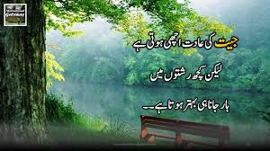 This opens in a new window. 10 Aqwal E Zareen In Urdu Motivational Quotes In Urdu