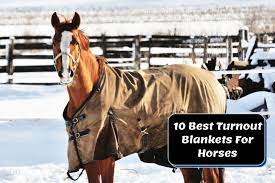 10 best turnout blankets for horses
