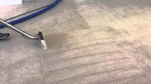 carpet cleaning carpet cleaner