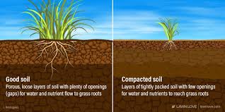 what are the pros and cons of peat moss