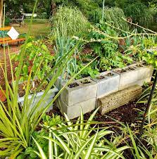 Raised Bed Vegetable Garden Concrete