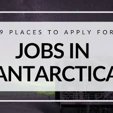 kitchen steward job in antarctica