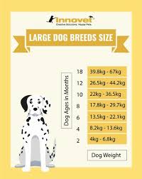 41 New American Bully Growth Chart Home Furniture
