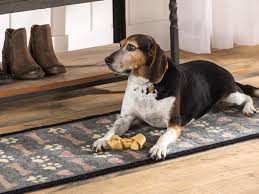 tips for dog friendly rooms
