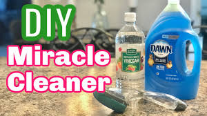 best shower cleaner dawn and vinegar