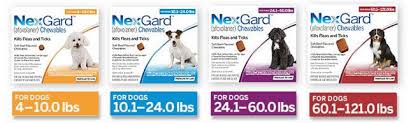 Nexgard chewables is recommended for use in dogs and puppies 8 weeks of age and older. Best Pet Links Nexgard For Dogs Information And Pricing From 34 99