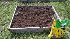 how to treat ants in raised garden beds
