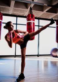 the beginner s guide to kickboxing