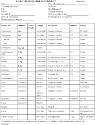 Sample Data Sheet For The Lobster Processing And Dissection