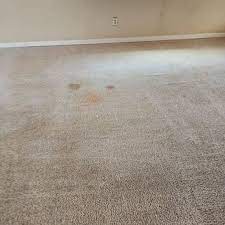 brown s carpet cleaning updated april