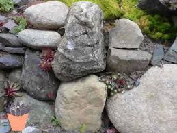 rock retaining wall nooks crannies