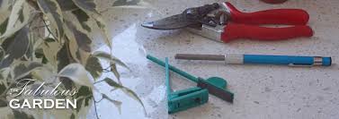 Recommended Tools To Sharpen Secateurs