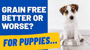 grain free better for puppies the