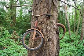 Image result for weird yellow bike on tree image