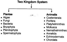 Biological Classification Cbse Notes For Class 11 Biology