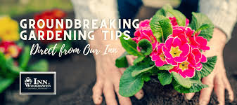 groundbreaking gardening tips direct
