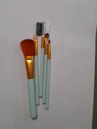 5 piece makeup brush set for