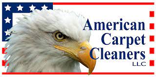 american carpet cleaners llc carpet