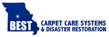 best carpet care systems disaster