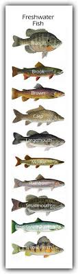 10 Best Fishing Ontario Images Fishing Ontario Bass