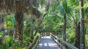 things to do in melbourne, fl