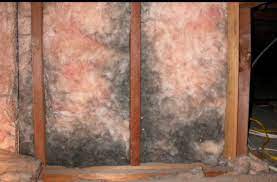 What To Do When Insulation Gets Wet