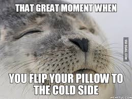 flip your pillow to the cold side
